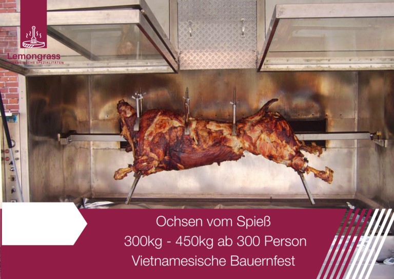 Ochse ab 300 Personen